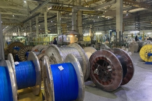 Pavlodar exporters are helped to find clients and insure transactions