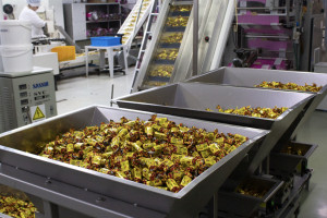 Rakhat在哈萨克斯坦出口信贷机构的支持下扩大出口量