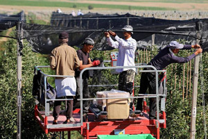 Страховка для экспортёра. Как найти господдержку в турбулентном мире бизнеса