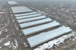 Начал работу один из крупнейших в Казахстане заводов по производству и переработке мяса птицы