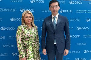 在哈萨克斯坦实施经合组织标准