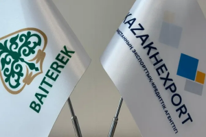 KazakhExport achieves record highs in 2024: key milestones and plans