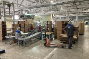 Ұмтылуға үміт бар: ШҚО-ның экспорттық әлеуеті арта түспек