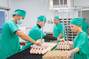 Processed goods as a key source of revenue