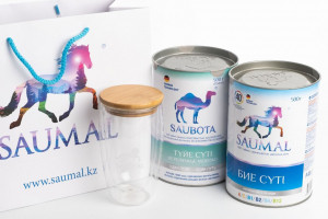 Как молодому казахстанскому производству выйти на экспорт