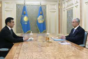 Глава государства принял председателя правления АО «Национальный инвестиционный холдинг «Байтерек» Рустама Карагойшина