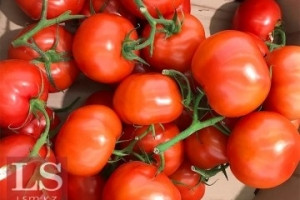 Ақтөбе облысының кәсіпорындары шетелдік нарықтарға бағытталған