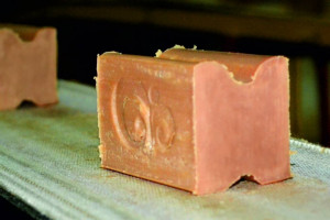 Vegetable Oil Company Managed to Develop Extra Manufacture. How?