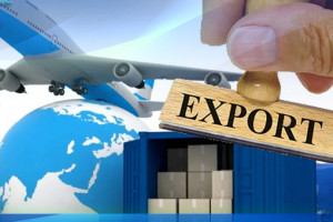 Отандық экспорттаушыларға қандай жағдай жасалады?