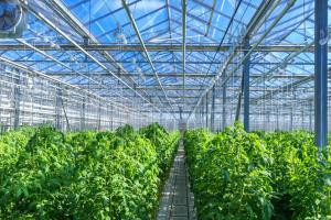 KazakhExport предоставил страховую защиту Green Capital Kazakhstan 