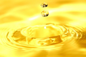 KazakhExport выделил 20 млрд. тенге производителю подсолнечного масла «Сей-Нар» на покупку сырья