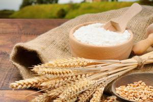 Подсолнечное масло казахстанского производства появится на рынке Китая