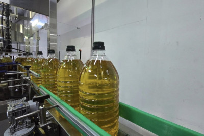 The Best Tool for an Exporter: Head of the Kostanay Oil Plant on the Support of the Export Credit Agency of Kazakhstan