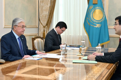 President hosts meeting with Baiterek Holding's leader, Rustam Karagoishin
