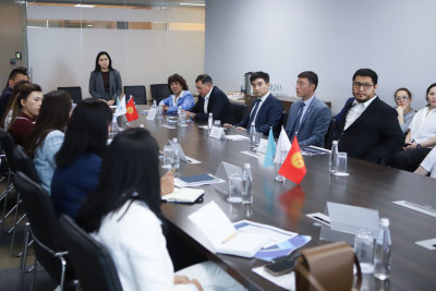 The Export Credit Agency of Kazakhstan shared its experience with the State Insurance Organization of Kyrgyzstan