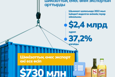 Шымкентские предприятия увеличили экспорт несырьевой продукции