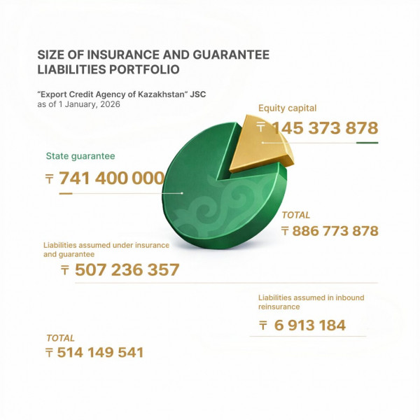 Size of insurance liability portfolio